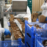 Champignon : plus de frais, moins d’importations