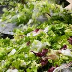 Bonduelle renonce à son activité salade 4e gamme Crudettes