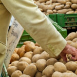 Une campagne export dynamique en pommes de terre pommes de terre en rayon