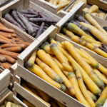 Légumes-racines : adaptation vitale d’une filière incontournable