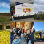 2024 : une année riche en défis, innovations et engagements pour la filière fruits et légumes