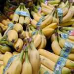 Banane : défis croissants pour une filière hors norme