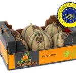 Le Melon de Cavaillon obtient enfin l’IGP