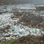 Une omniprésence des microplastiques