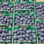 Regard d’expert commerce international : la myrtille