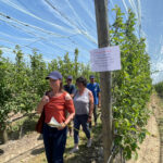 Pomme et myrtille : place aux échanges techniques