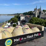 Melon du Haut-Poitou : la filière cultive son héritage