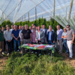 Fruits à noyau : un accord pour l’origine France entre producteurs et distributeurs