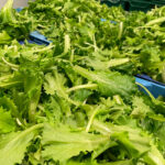 Légumes prêts à l’emploi : un marché en plein essor porté par la demande de praticité