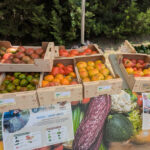 Méditerrabio : faire bio, bon et nourrir