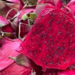 Océane ose le pitaya