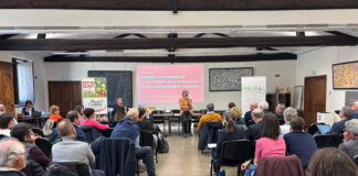 Aneefel : soutenir la production et réinventer le commerce des fruits et légumes