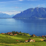 Regard d’expert commerce international : la Suisse La Suise