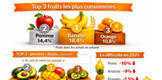 Bilan conso 2025 : un rebond bienvenu, mais des équilibres encore fragiles