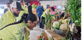 Génération enchantée : les artisans-primeurs à l’honneur concours Génération primeurs