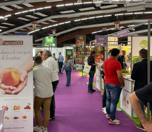 Production et distribution : un dialogue au cœur du Medfel