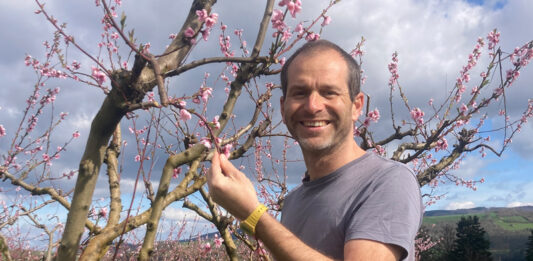 L’interview du mois : réinventer l’innovation agricole Simon Fellous