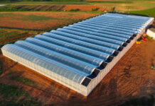 IA en agriculture : comment passer à l’action ? Serre Rougeline