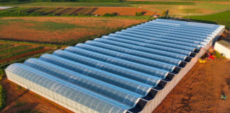 IA en agriculture : comment passer à l’action ? Serre Rougeline