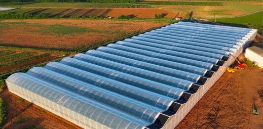 IA en agriculture : comment passer à l’action ? Serre Rougeline