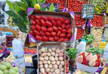 Fraise : la défense du modèle premium