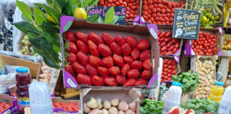 Fraise : la défense du modèle premium