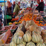 Dossier melon-pastèque : différenciation et séduction