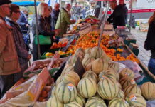 Dossier melon-pastèque : différenciation et séduction
