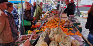 Dossier melon-pastèque : différenciation et séduction