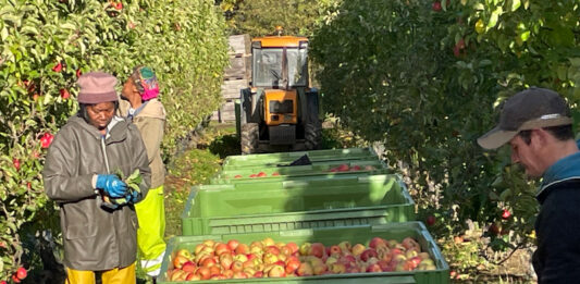 Les technologies d’application au cœur de la 14ᵉ édition d’Interpoma verger de pommes