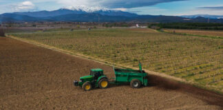 Loi d’urgence agricole : ce qui va changer pour les fruits et légumes