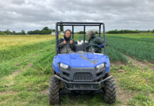 Wwoofing : j’irai « bosser » chez vous !